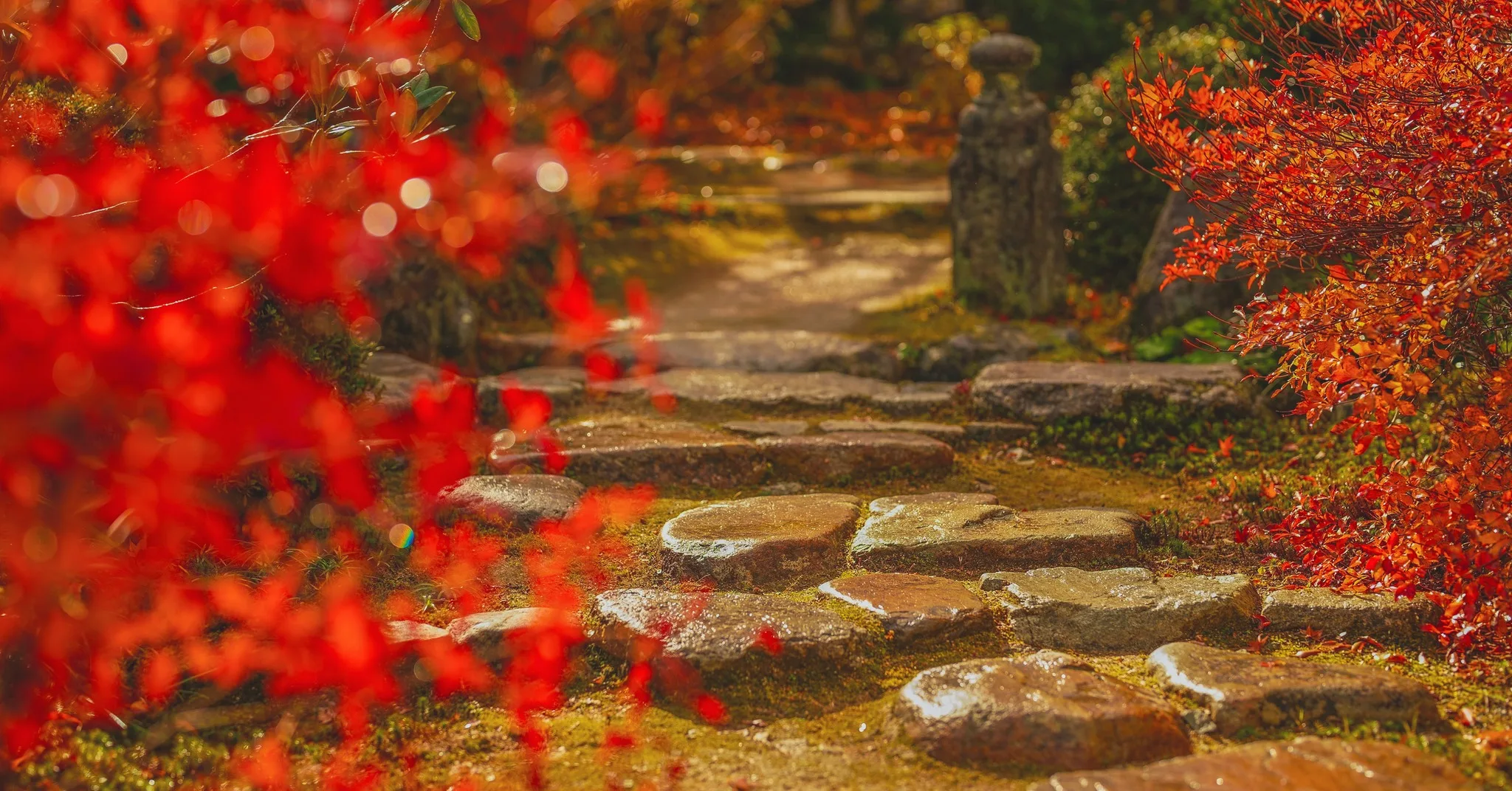 静かな石畳の小径に、秋の紅葉が鮮やかに彩りを添える景色。京都ならではの和の美しさが感じられる瞬間です。古き良き日本の趣と、どこか普遍的な美が溶け合い、まるで浮世絵の一場面のような佇まい。訪れる人をそっと包み込む特別な体験がここにあります。
詳しくはプロフィールリンクから
#京都 #ホテル #文化融合 #Giappo #Franca #Kyoto #Hotel
#和モダン #旅行 #ジャポフランカ #漫画 #任天堂
#浮世絵 #歌川広重 #東海道五十三次 #五十三次名所図会 #UtagawaHiroshige #Hiroshige
#和洋融合 #国際交流 #日本文化 #特別な体験
ジャポフランカ(Giappo Franca)という名前は、「日本」を意味するイタリア語の「ジャポネ(Giappone)」と、異なる母国語の話者間で共通の言語として使われる「リングア・フランカ(Lingua Franca)」を組み合わせた造語です。