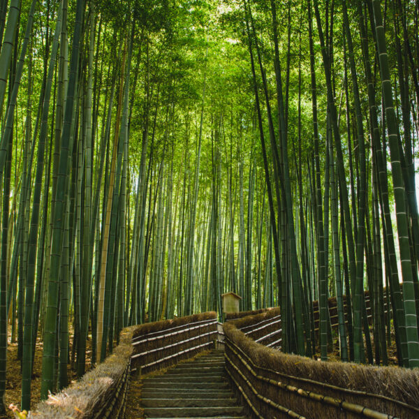 京都嵐山